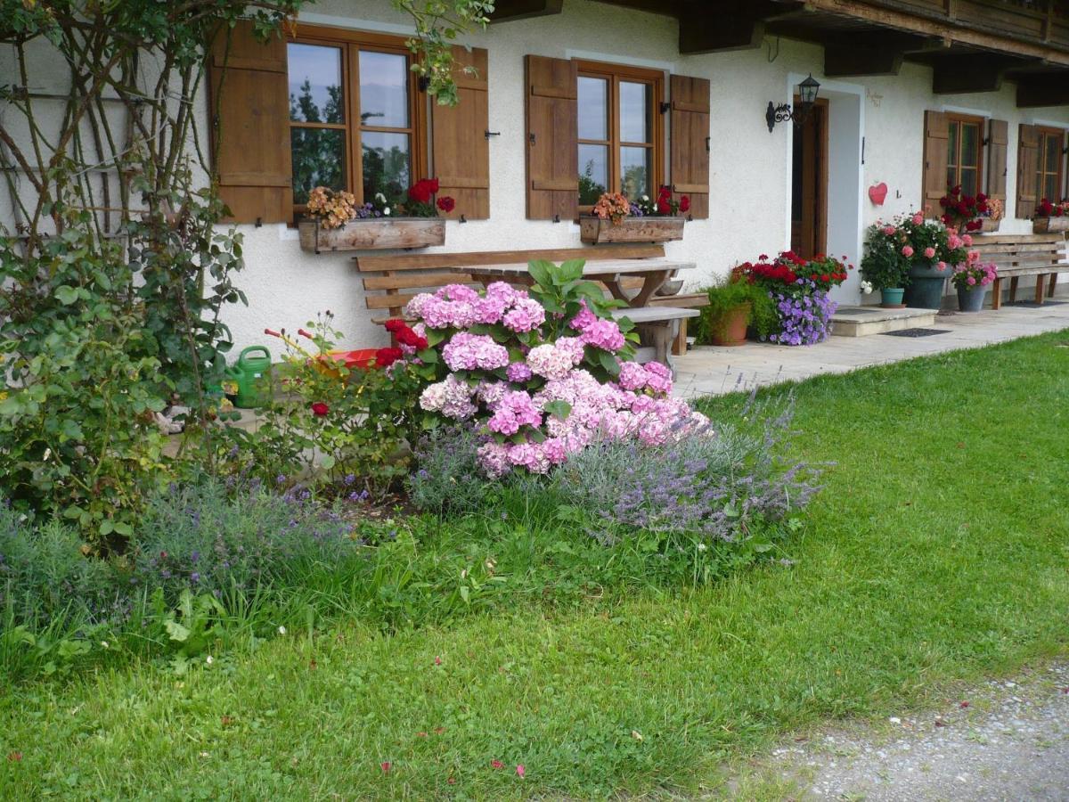 Apartament Agelbauer Irschenberg Zewnętrze zdjęcie